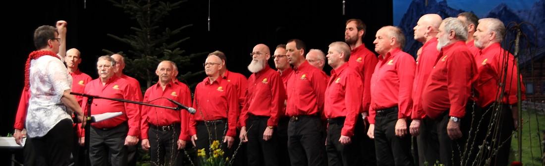 Männerchor Alterschwil Gruppenfoto